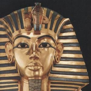 Meet your Posher, Warren